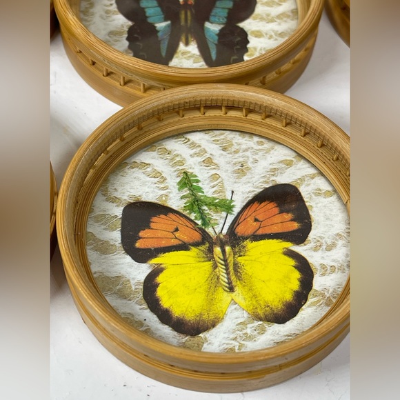 Vintage Bamboo/Rattan/Glass pressed flower & Butterfly tray/coaster set 7 pcs - Picture 6 of 16